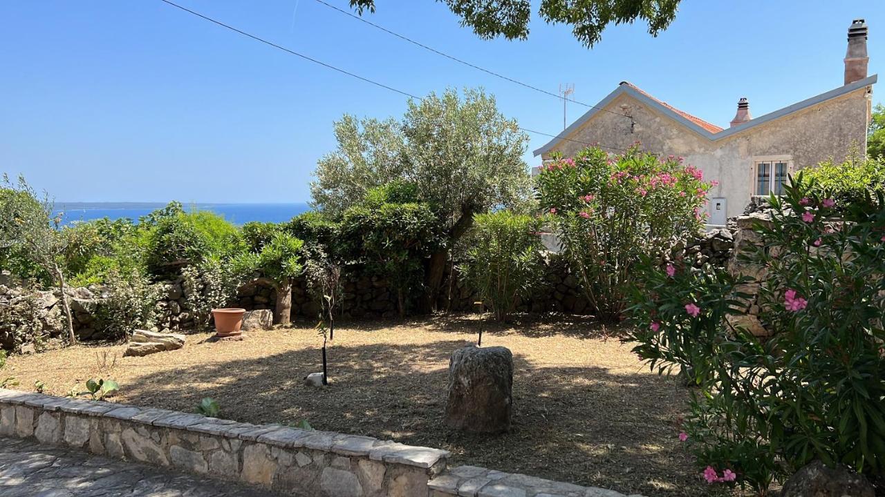 Podgora Experience Suite With Jacuzzi Nerezine Bagian luar foto